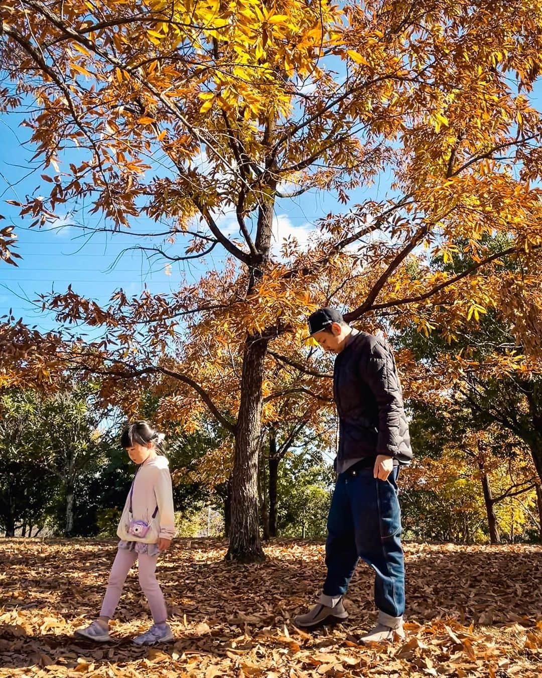 のりごとーのインスタグラム：「どんぐり探し隊。 妻に切れられるまで4時間みっちりと探してきました。。」