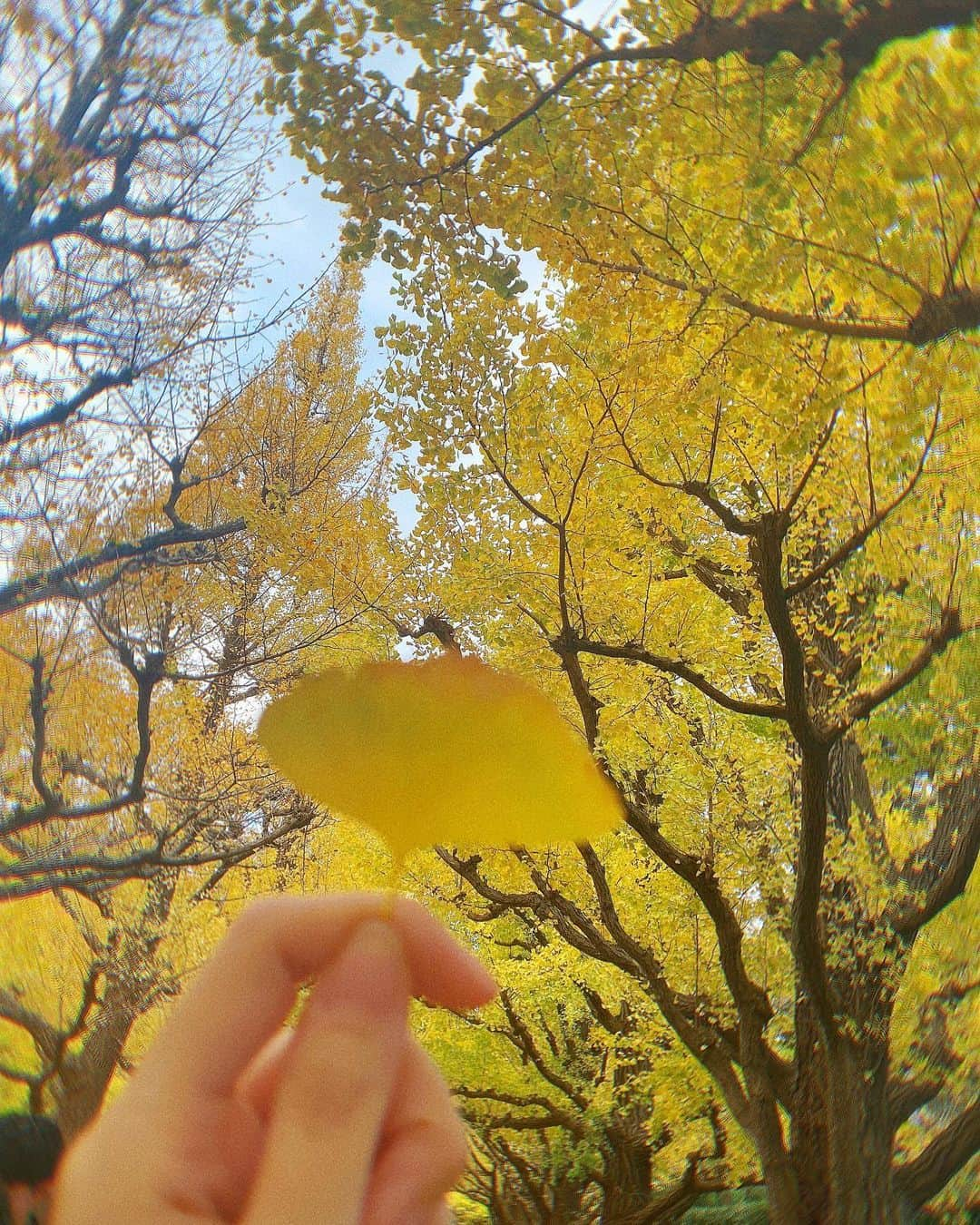 田部絵美のインスタグラム：「🍂」