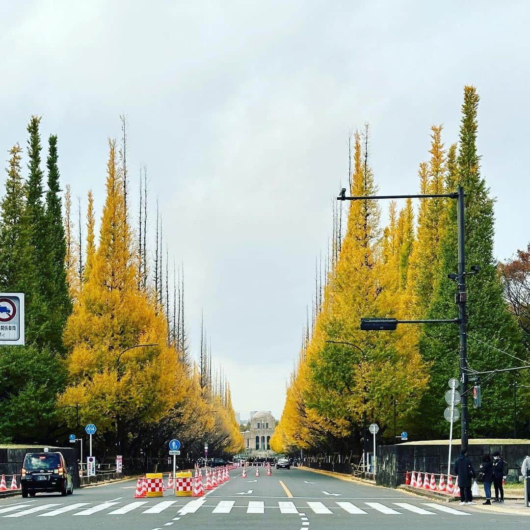 有吉弘行さんのインスタグラム写真 - (有吉弘行Instagram)「景色。」11月28日 18時01分 - ariyoshihiroiki