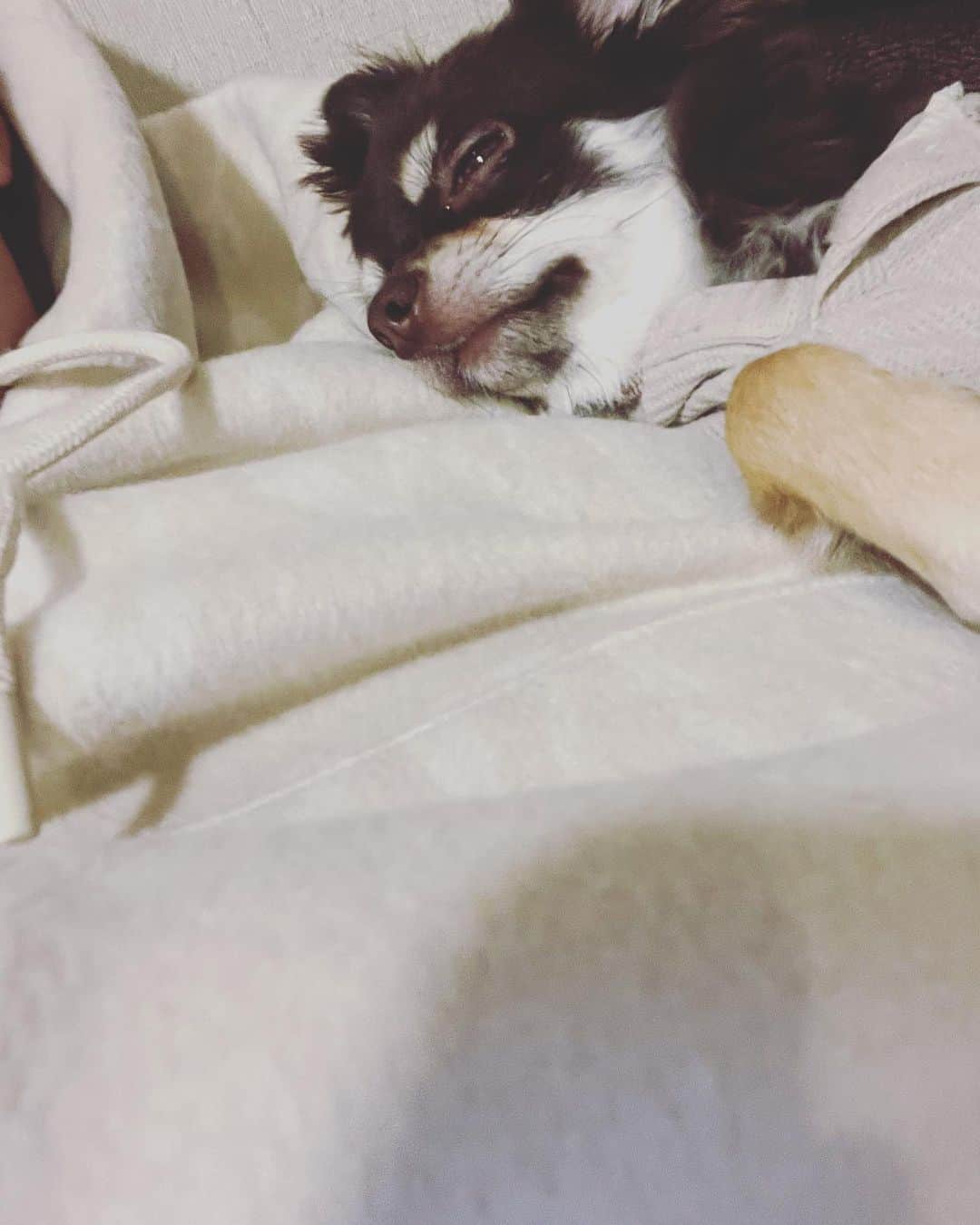 田中彪のインスタグラム：「稽古終わり帰宅…。」