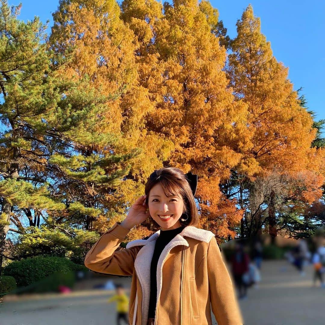 小尾渚沙のインスタグラム：「💚💛🧡  週末に新宿御苑へ🍁 グラデーションが綺麗で癒されました🥰  気付けば11月も残り僅かですね！ 今週も宜しくお願いします💕 張り切っていきましょ〜💪🏼💪🏼 . . #新宿御苑 #お散歩」