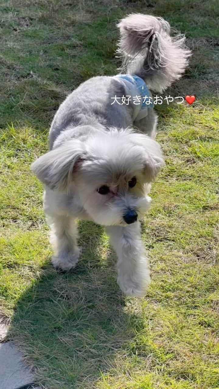 小坂温子のインスタグラム