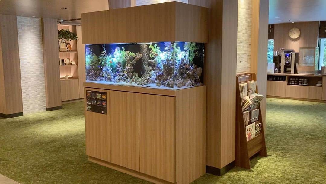 大阪・東京のアクアリウムならa.a.c.のインスタグラム：「大阪府吹田市の高級有料老人ホーム様の海水魚水槽🐡  夏に施工して徐々に本調子になってきました👆  #インテリア #インテリアアクアリウム #水草 #水槽 #水槽のある暮らし #熱帯魚 #海水魚 #水槽レンタル #水槽メンテナンス #大阪 #東京 #アクアポニックス  #art #aquarium #fish #空間デザイン #オフィスデザイン #オフィスグリーン #オーダーメイド水槽 #インテリアコーディネート #グリーンコーディネート #内装デザイン #水槽設計 #水槽施工 #北堀江」