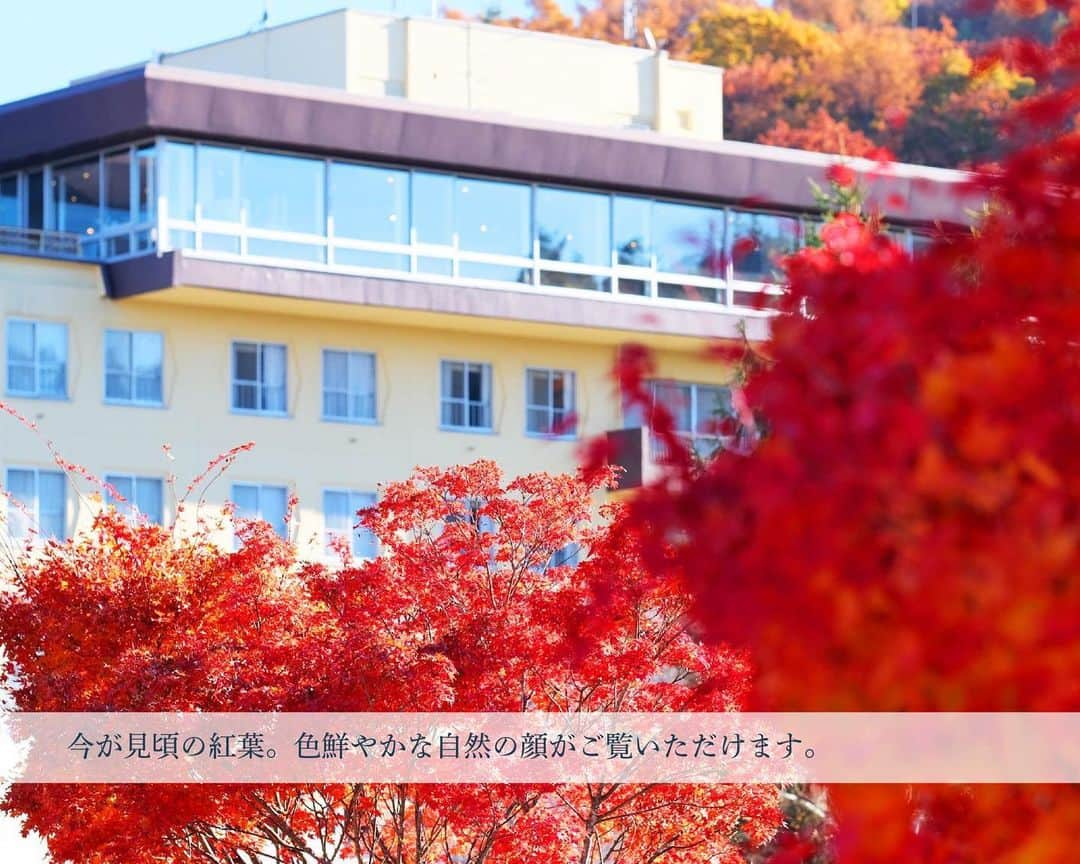 リゾートホテル蓼科さんのインスタグラム写真 - (リゾートホテル蓼科Instagram)「. 山から公園に紅葉が下りて参りました。 見頃は１１月がおすすめ。  ホテルから見える色鮮やかな紅葉はライトアップされた感動のシーンを演出。  この時期リゾートホテル蓼科では紅葉をお楽しみいただけます。  〒391-0395 長野県茅野市北山4035 リゾートホテル蓼科 お問い合わせ▸▸TEL 0120-16-2626  蓼科へ、紅葉を見に行こう。 @resort_tateshina  #リゾートホテル蓼科 #蓼科 #観光 #長野県 #茅野市 #食事 #高原 #ホテル公式 #散歩 #絶景 #ホテル #リゾート #四季 #旅行 #家族旅行 #ホテル巡り #施設 #観光スポット #グリル #予約 #絶景 #料理 #一人旅 #紅 #旬 #ライトアップ #国内旅行 #紅葉狩り #紅葉 #家族」11月28日 20時27分 - resort_tateshina