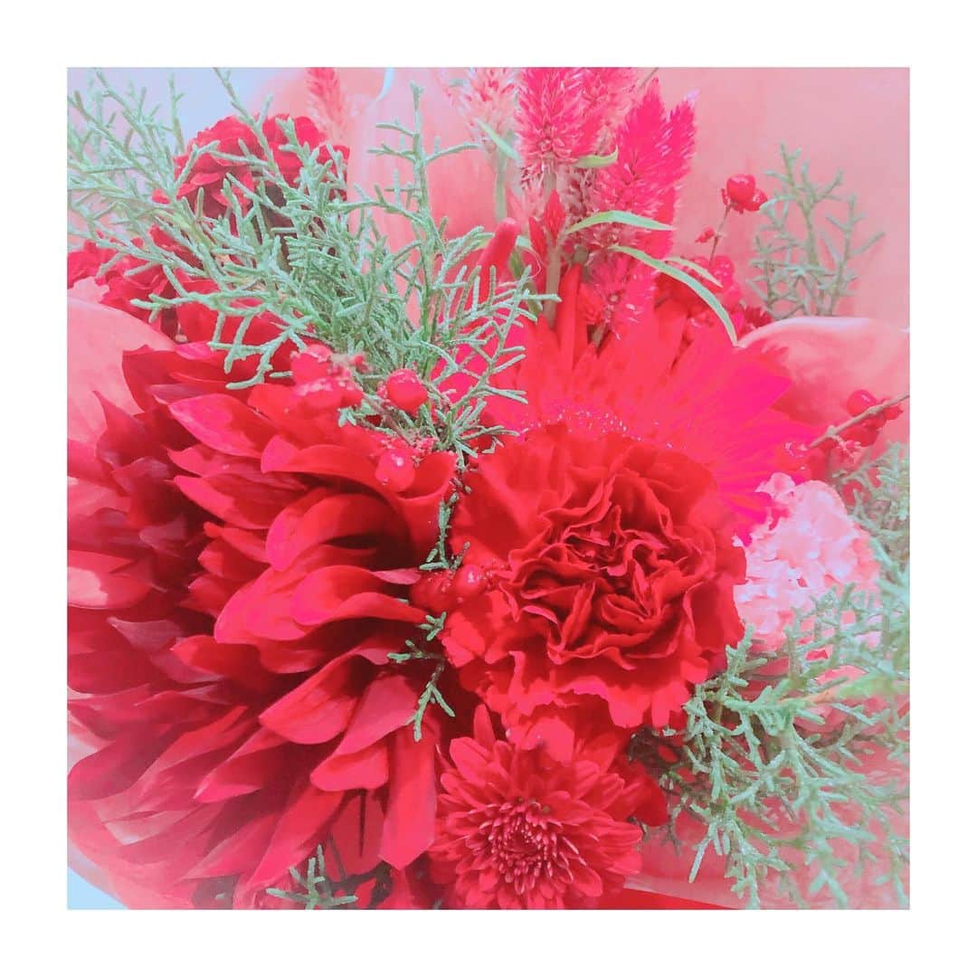 松雪泰子さんのインスタグラム写真 - (松雪泰子Instagram)「. 沢山の赤い花...お心遣いに感謝 楽しい美しい時間をありがとうございます....。感謝...です。全てに。ありがとうございます。50年間に出逢った全ての方々へ 感謝...。」11月29日 0時05分 - yasukomatsuyuki_official