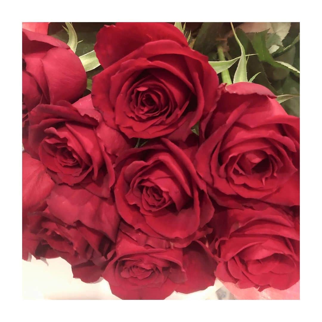 松雪泰子のインスタグラム：「. 沢山の赤い花...お心遣いに感謝 楽しい美しい時間をありがとうございます....。感謝...です。全てに。ありがとうございます。50年間に出逢った全ての方々へ 感謝...。」
