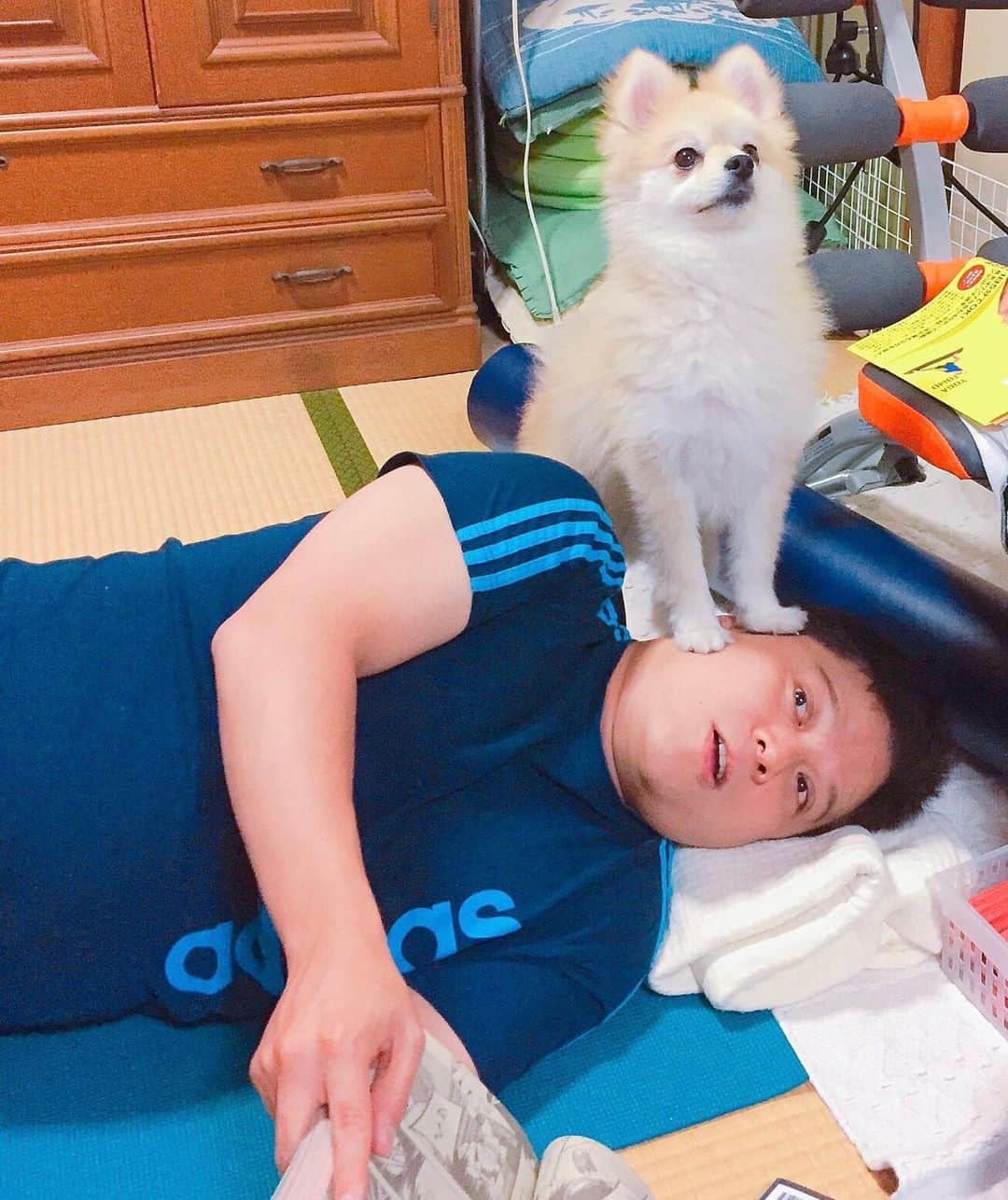YO!YO!YOSUKEのインスタグラム：「太っちょトト様と❤️  #ポメラニアン #癒し #愛犬 #ペット」