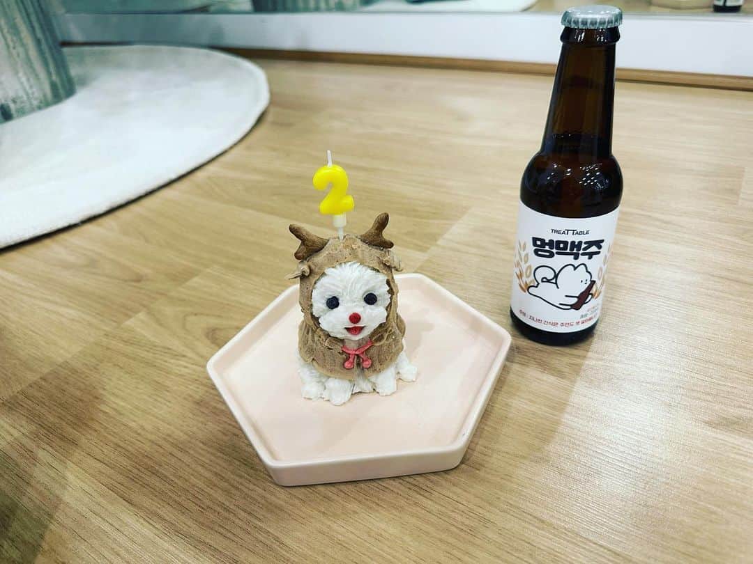 ソンヒョクのインスタグラム：「#hbd  #pepper 😘」
