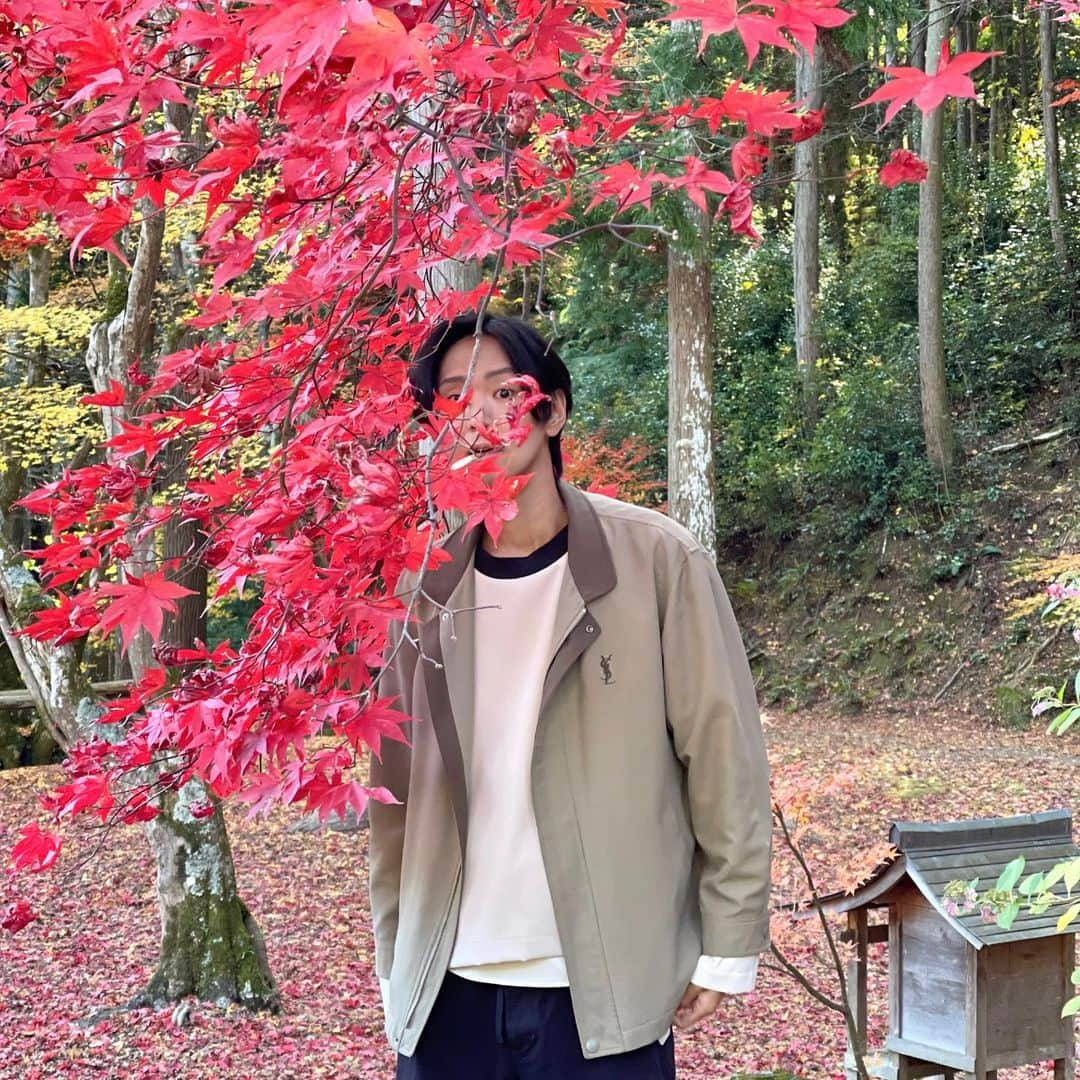 池内ヨシカツさんのインスタグラム写真 - (池内ヨシカツInstagram)「紅葉🍁  #龍穏寺」11月29日 12時35分 - yoshikatsu_ikeuchi