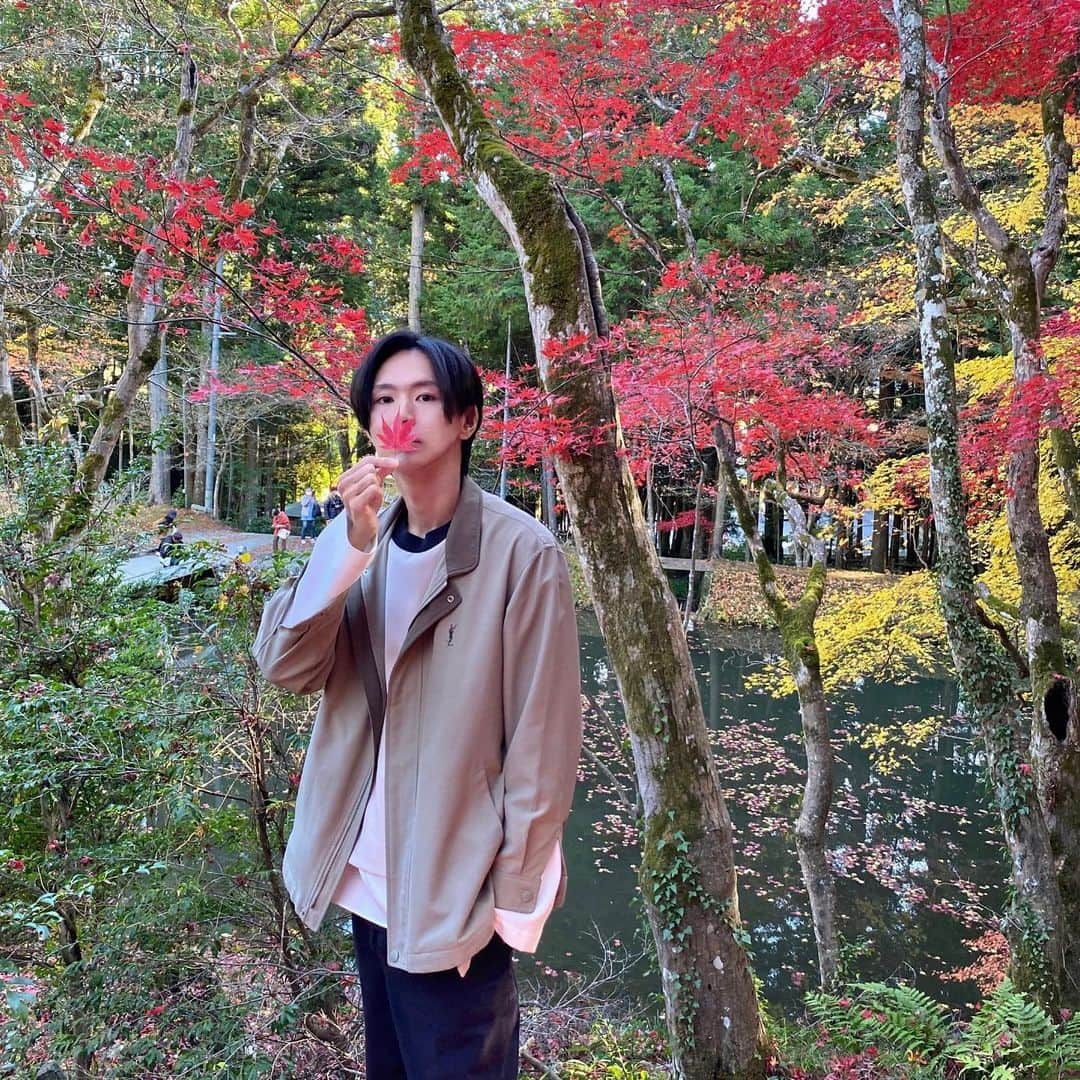 池内ヨシカツさんのインスタグラム写真 - (池内ヨシカツInstagram)「紅葉🍁  #龍穏寺」11月29日 12時35分 - yoshikatsu_ikeuchi