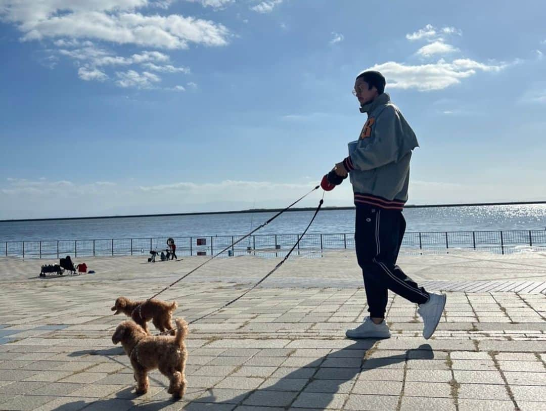 菊池流帆さんのインスタグラム写真 - (菊池流帆Instagram)「🐶☀️🏖  #てくてく #歩くよ #ハム太郎 #とっとこー #走るよ #ハム太郎 #大好きなのは #ひまわりの種」11月29日 12時37分 - davidryuho49