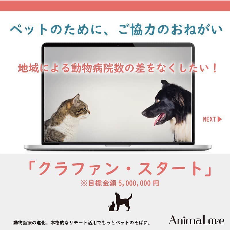?CAMPFIRE? [official] のインスタグラム：「. . 「地域による動物病院数の差をなくしたい」  そんな思いから開発された、 全国の動物病院とスマホひとつでつながれる診療アプリ "AnimaLove(アニマラブ)"  大切な家族🐕🐈との時間を、 よりかけがえのないものにするために… ぜひご支援ください🙇‍♀️  https://bit.ly/3gJsC1T  #いぬ  #ねこ #動物病院  #AnimaLove #診療アプリ #キャンプファイヤー #クラウドファンディング #campfire」