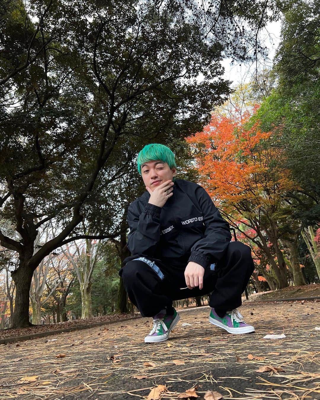 わきをさんのインスタグラム写真 - (わきをInstagram)「公園行ったらワクワクするよなぁ缶蹴りしよや🍁」11月29日 17時06分 - wakio612