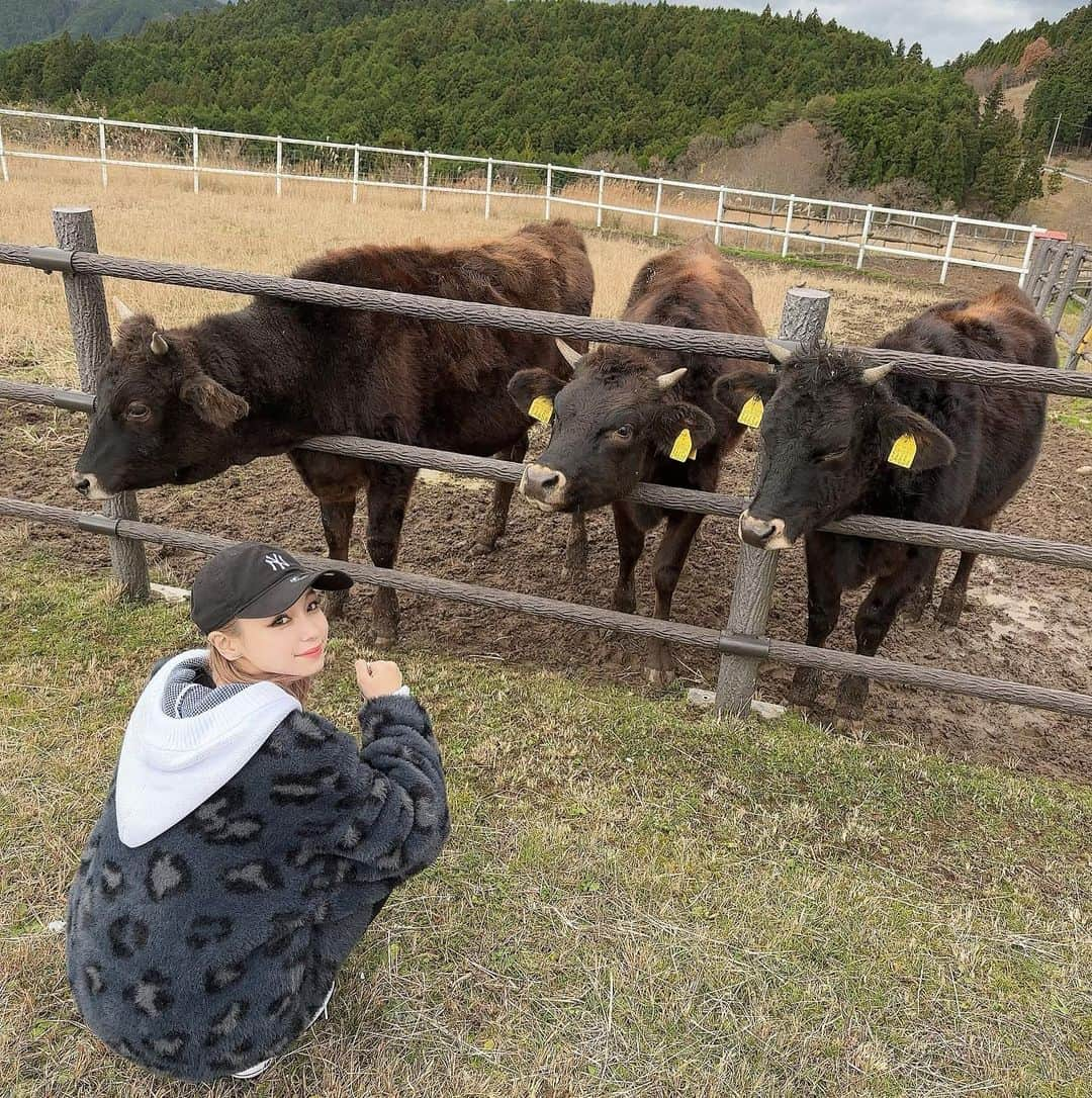 鈴木ユリアのインスタグラム：「. 奈良県のお仕事の現調→打ち合わせ終了。 村の会長さん含めみなさんお疲れ様でした。 お仕事に生かせます🙇🏻‍♂️💭 . 人気の観光スポットを作れるように 企画中........ 現調中に居た牛に話しかける23歳。」