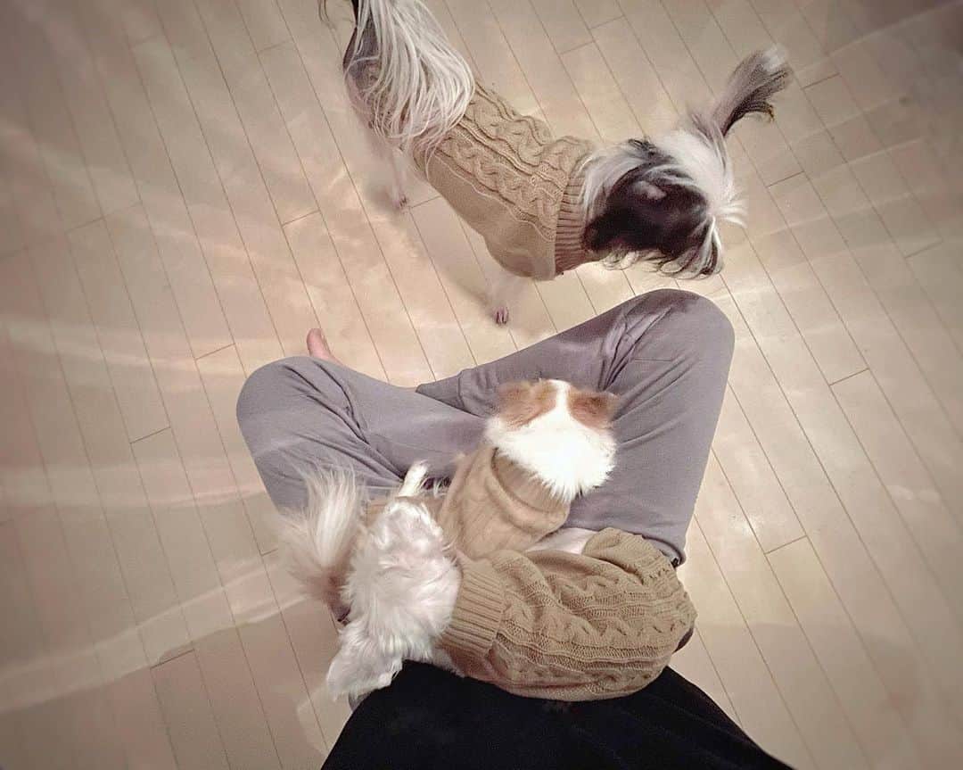 村田充さんのインスタグラム写真 - (村田充Instagram)「脚が痺れてきましたね。」11月29日 20時07分 - mitsumurata