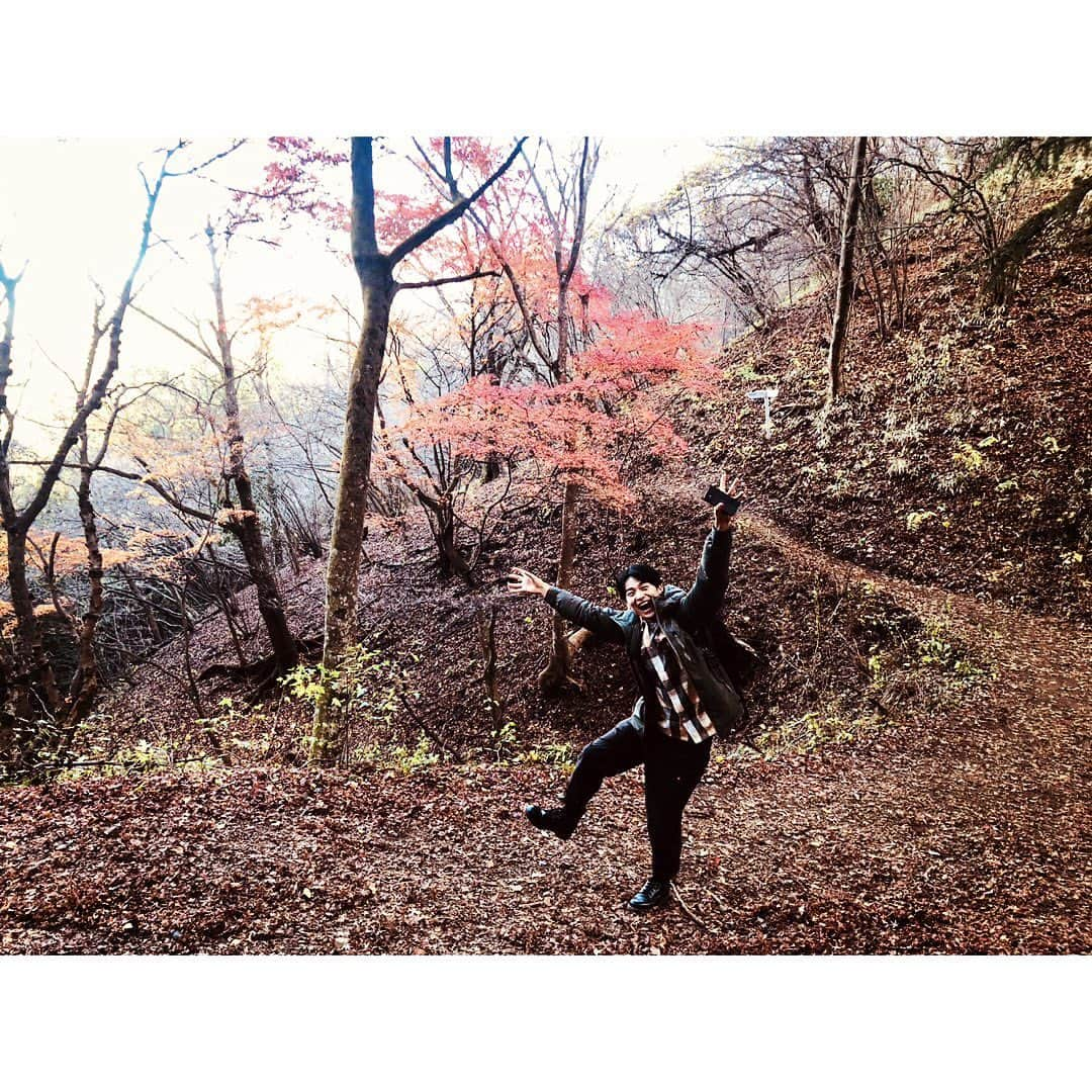 東拓海さんのインスタグラム写真 - (東拓海Instagram)「低登山たのしい🤤  そのうち富士山チャレンジしてみたいな。  紅葉の芳香に高揚して咆哮って感じの写真です！  では、おやすMii💤  #山 #やまをお裾分け投稿 #紅葉 #おやすみ」11月29日 23時15分 - higashi_takumi.310