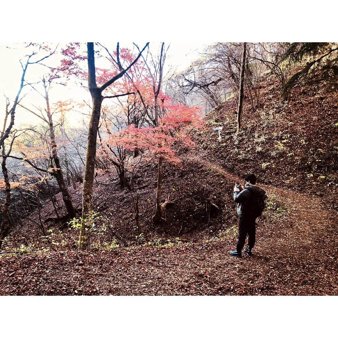 東拓海さんのインスタグラム写真 - (東拓海Instagram)「低登山たのしい🤤  そのうち富士山チャレンジしてみたいな。  紅葉の芳香に高揚して咆哮って感じの写真です！  では、おやすMii💤  #山 #やまをお裾分け投稿 #紅葉 #おやすみ」11月29日 23時15分 - higashi_takumi.310