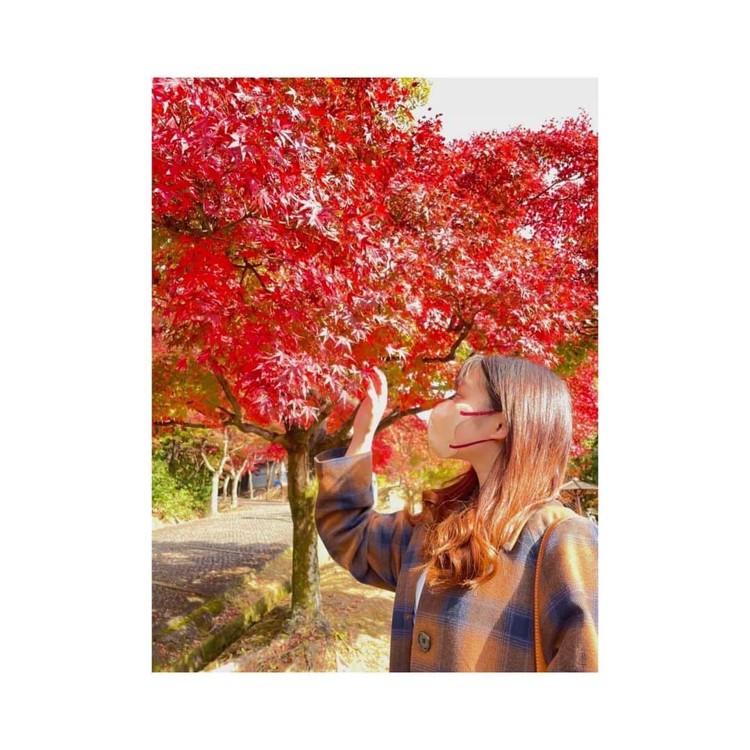 古川舞歌さんのインスタグラム写真 - (古川舞歌Instagram)「🍁🍁🍁  #紅葉 #名古屋 #南公園」11月30日 0時12分 - maikafurukawa