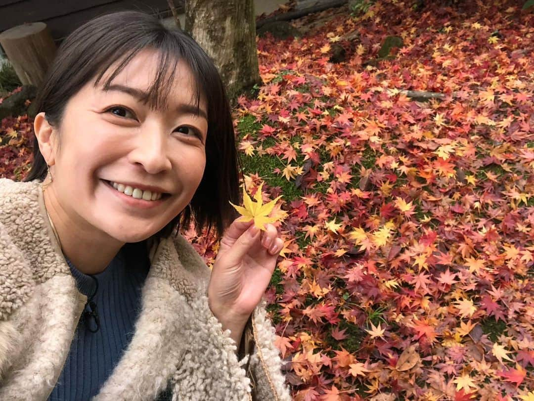 小野真弓のインスタグラム