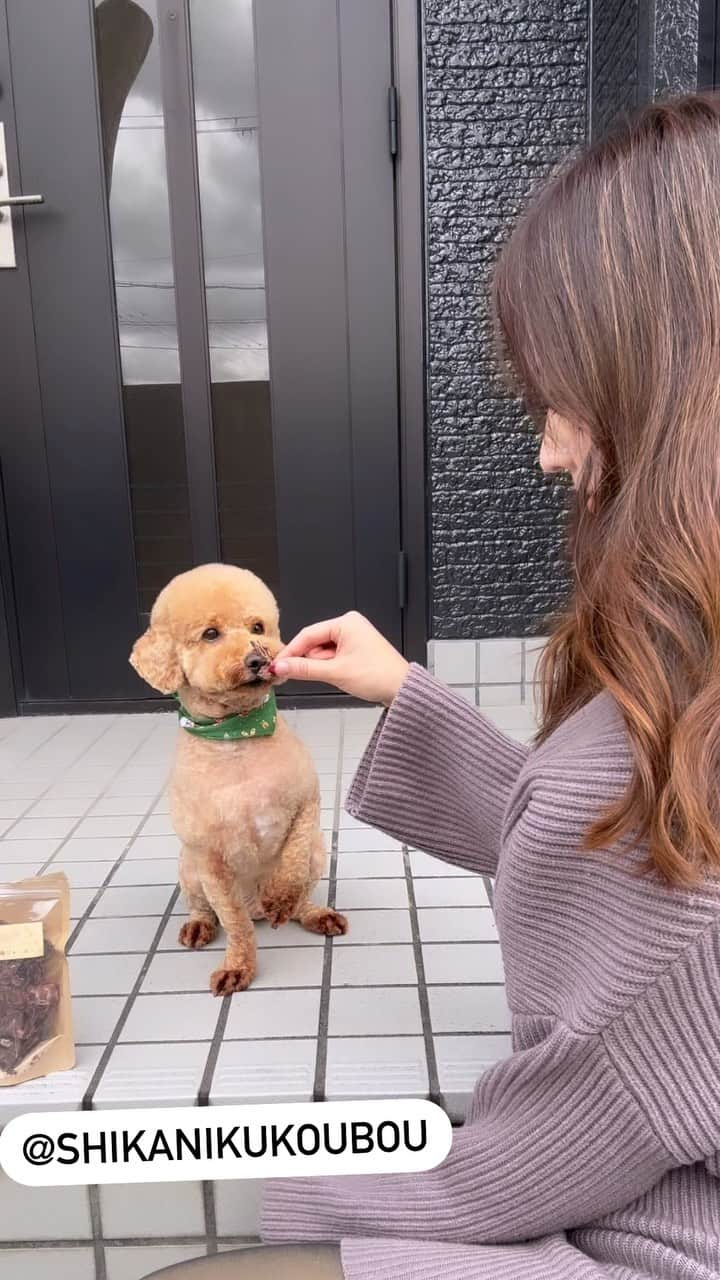 中尾みほのインスタグラム