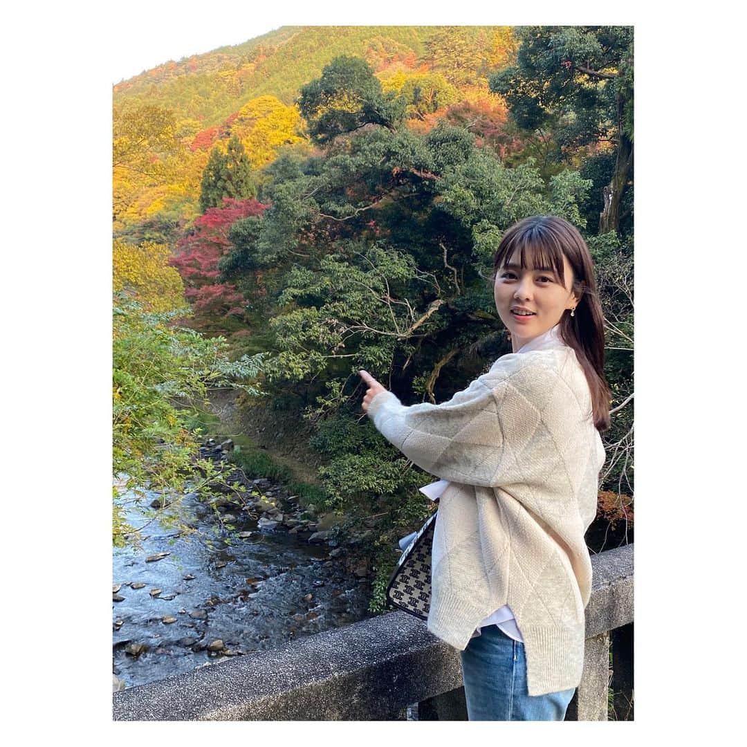 佐藤梨那さんのインスタグラム写真 - (佐藤梨那Instagram)「🍁  京都。  京都育ちの母と 行ったことないシリーズの旅。  先日行ってきました。🍁  ここから長くなります。 ----------------------  🍁醍醐寺 庭園が美しくてうっとり。 動画を見返してまたうっとり。  有名な数寄屋造の醍醐棚だと思って パシャパシャ撮っていたら 別の違棚を撮影してました笑  今度は枝垂れ桜が咲く 特別公開の時に見に行こう…  🍁瑠璃光院 SNSで何度も見かけて 気になっていた場所。 それぞれの部屋から見える景色、 院に入る石段、植栽も 1つ1つこだわりが見られて、 時間がゆっくりと過ぎていくような 安らぎがありました。  🍁仁和寺 中学生の時に徒然草の兼好法師が、、、 と教えてもらったけど 中々訪れていなかった場所。  今回は夜間の拝観。 旅行計画の時から 紅葉のライトアップが見たくて 楽しみにしてました。 紅葉×光の演出 幻想的で美しかった… 日中も綺麗だけど、 夜に浮かび上がった五重塔や中門は いっそう荘厳に感じました。  小さい頃から何度訪れていても 京都はやっぱり素敵なところです♡  あと今回かなり電車乗り継いだから 市内の電車ようやく理解できた笑  マミー(母)が同窓生と会ってる間に 1人でテクテク歩いてみて、 あ、ここか！ ここと繋がってるのか！ 自分の頭の京都の地図が 点と点だったのが 線にちょっとなりました。  ちょっと成長できた旅でした。  京都駅で鯖寿司買って 帰りに食べるのが 私のルーティンです。」11月30日 13時33分 - sato_lina