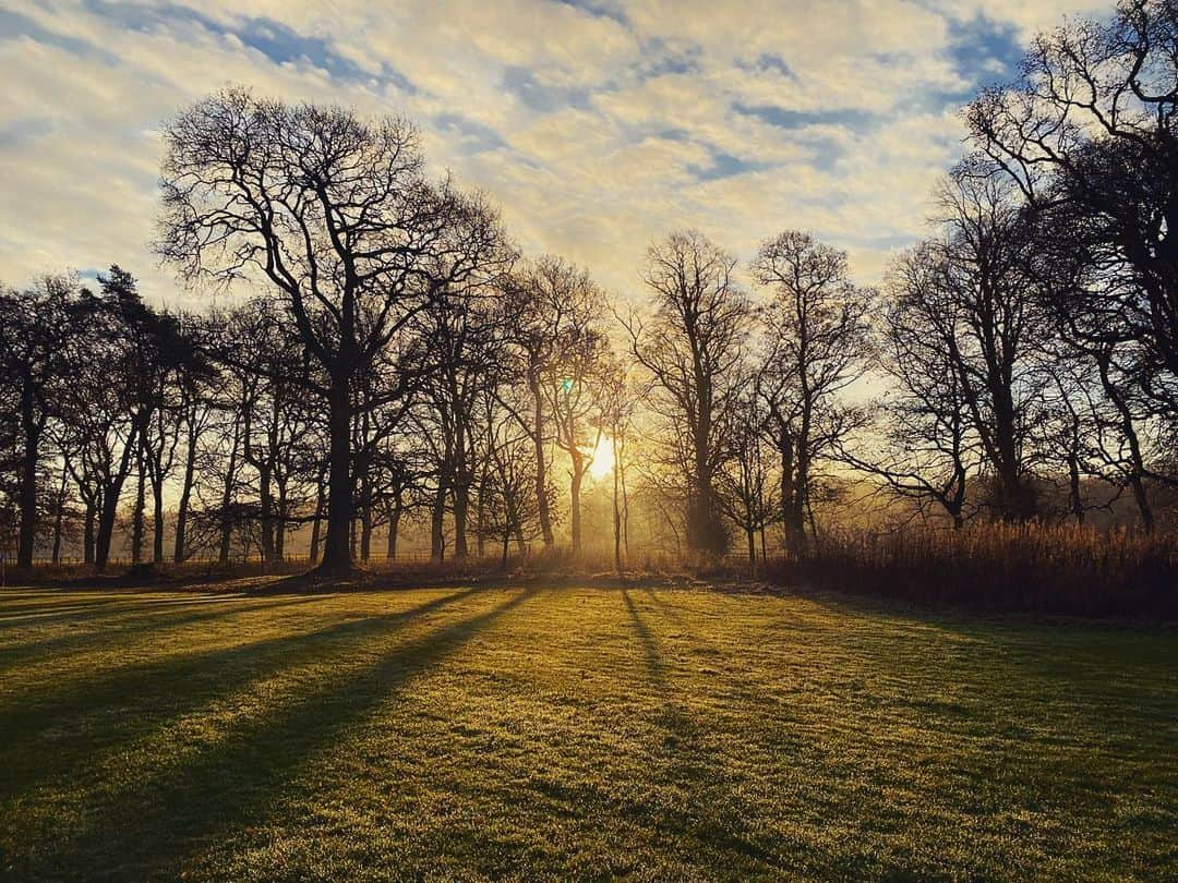 エイリー・チャイルドのインスタグラム：「Not a bad wee morning for St Andrew’s Day 🏴󠁧󠁢󠁳󠁣󠁴󠁿💙」