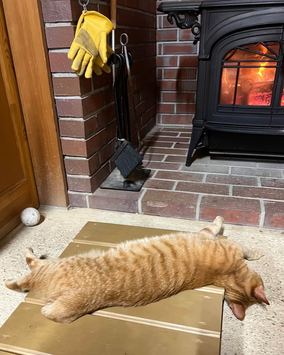 篠原信一のインスタグラム：「ポカポカ暖かくて爆睡🐱💤 その寝方で首の寝ちがいしないのが羨ましい😁 #薪ストーブ #ポカポカ  #あったかい  #茶トラ猫 #ねこ #cat  #保護猫 #ねこのいる暮らし」