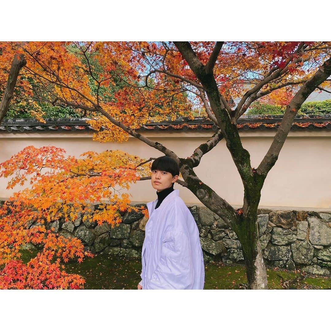 上村海成のインスタグラム：「家族で京都に行って来ました。」