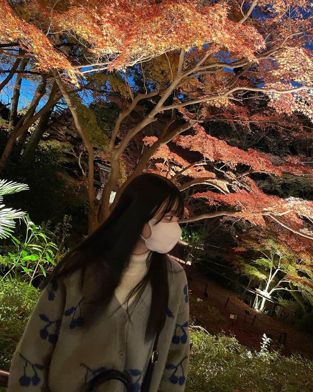 石黒友月さんのインスタグラム写真 - (石黒友月Instagram)「🍁🍂🌟」11月30日 20時33分 - yuduyu1011