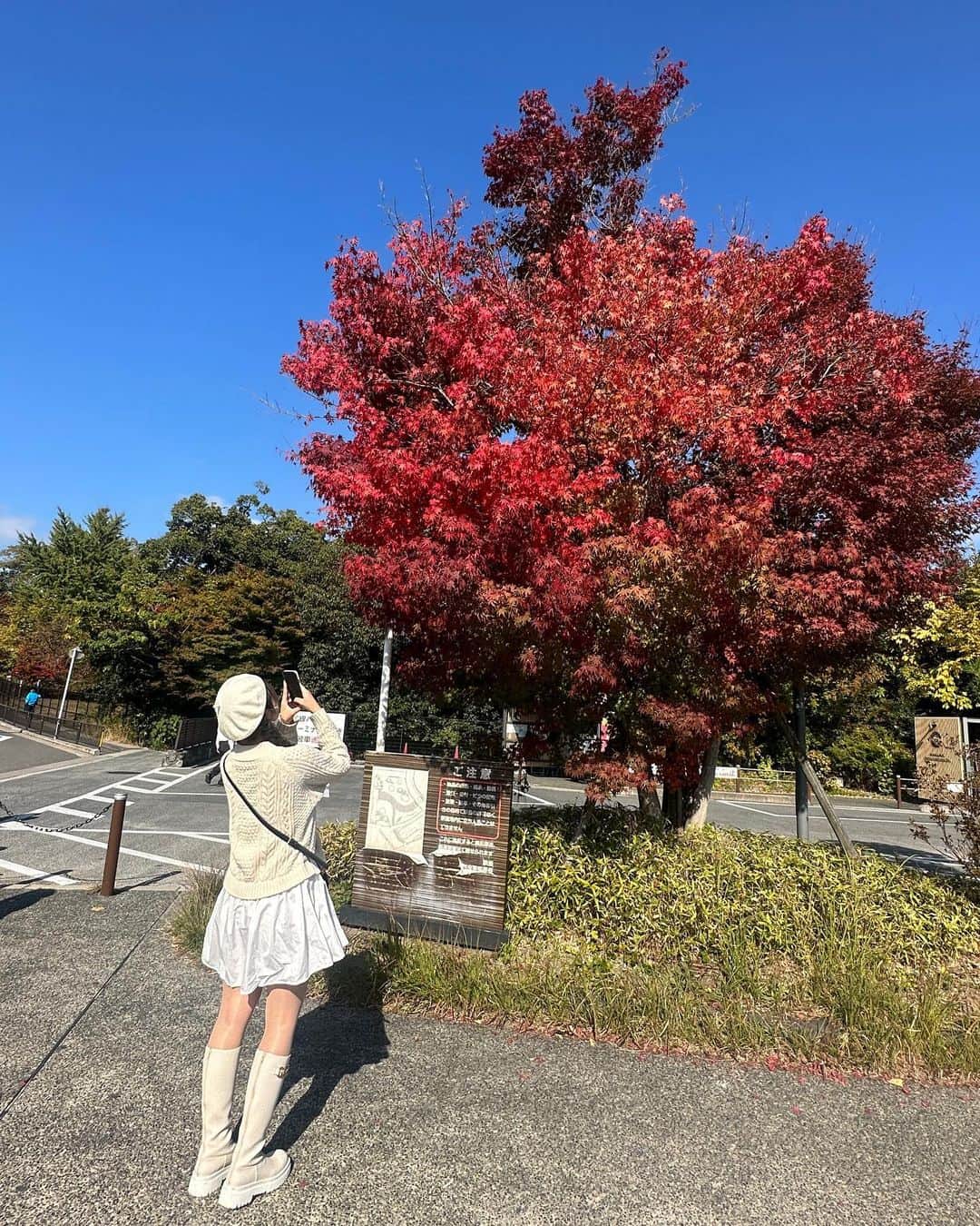 宮丸くるみのインスタグラム：「📍Kyoto  ちょっと前に京都行ってめっちゃ写真と動画とったので投稿していきます🫶  ・ ・ ・  #京都 #嵐山 #嵐山観光 #京都観光 #京都紅葉 #02 #kyotojapan #kyoto #紅葉」