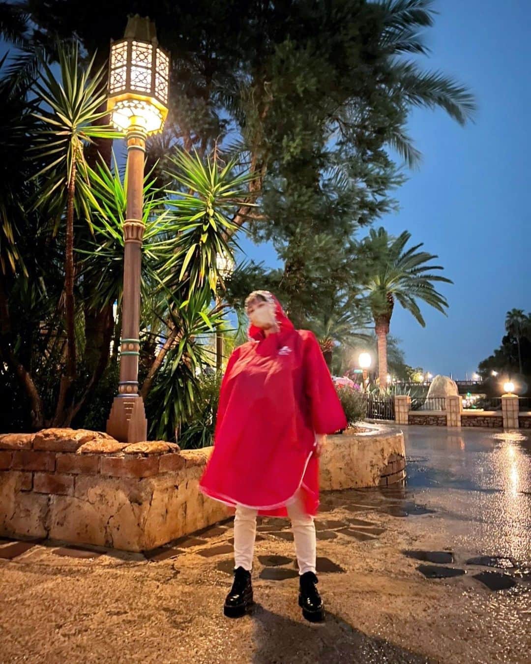 のインスタグラム：「🌴いつかの🐀🐀🐀☔️  なーんか大人になると 楽しみ方も変わりますね。  なーんて まだまだ子供なんですけどね。  出逢っちゃうのも…🦁 いいですね。たまには。 はあっ。牙か〜わうぃ〜。  #ディズニーシー #雨ディズニー #美女と野獣  #🐀#🦁#☔️」