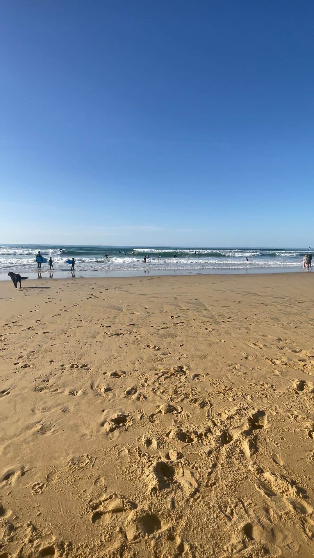 ステファン・スパラニャのインスタグラム：「3 weeks of intensive work, suffering and good meet! Now back to play @cerscapbreton」