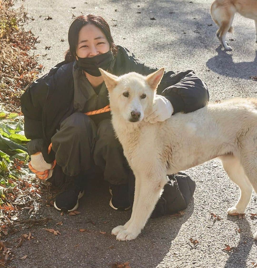 キム・ヒョジンのインスタグラム：「김현성 실장님이 찍어준 사진. 순하디 순한 개들. 이 순한 애들이 개농장에서 구조되기 전까지 얼마나 두렵고 무서웠을까.」