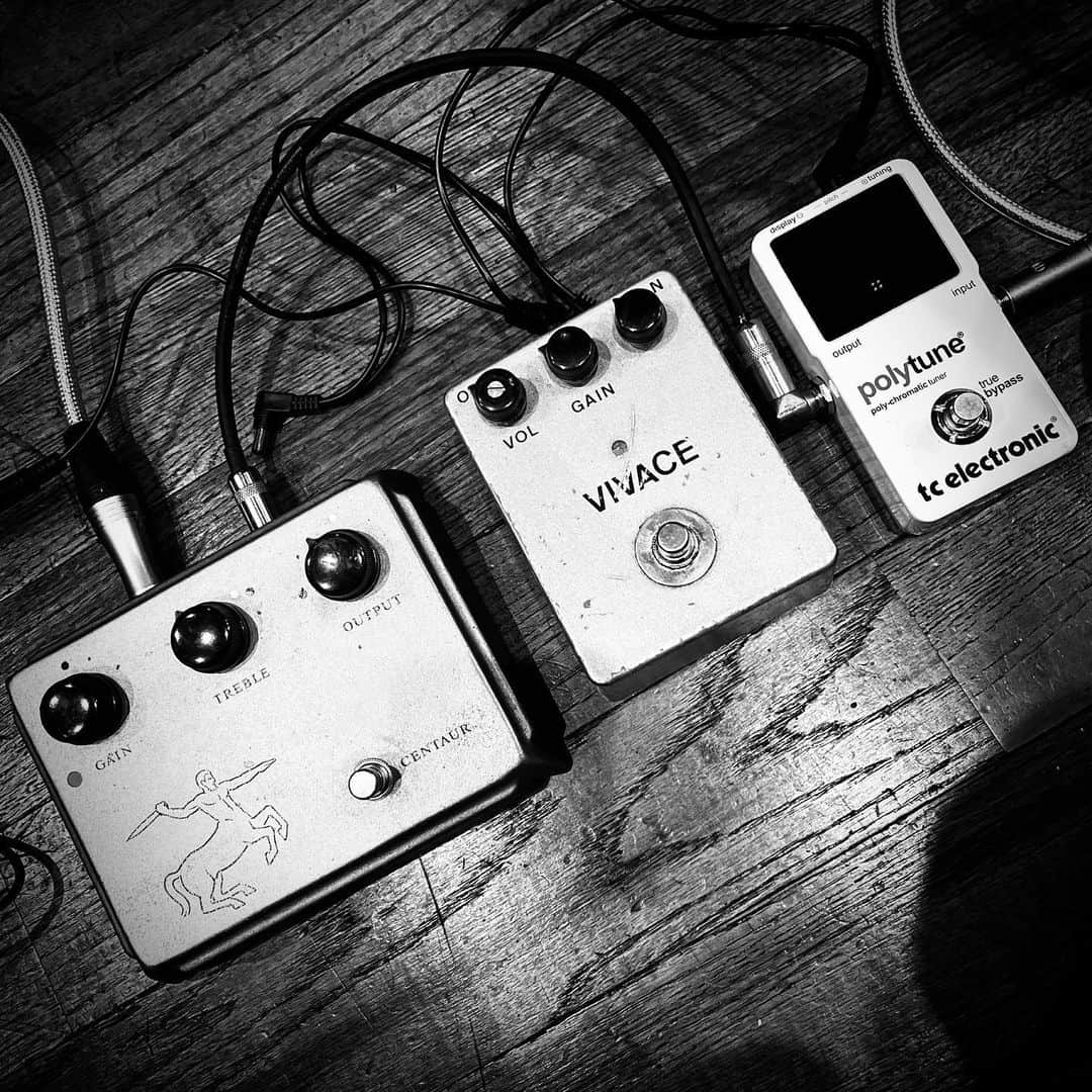 HISASHIのインスタグラム：「RECORDING🔴 #centaur #vivace #polytune」