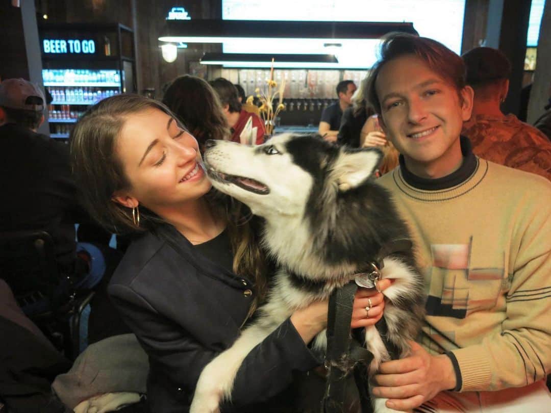 ステファノ・カルーゾのインスタグラム：「A typical portrait of Nahla‘s everyday life (here hanging out in a pub with her family) 🐶  📸 @sabrinakleinas  . . . . . #husky #dog #siberianhusky #huskylove #huskylife #doglife #doglover #huskysiberiano #doglovers #cute #ciaobelli」