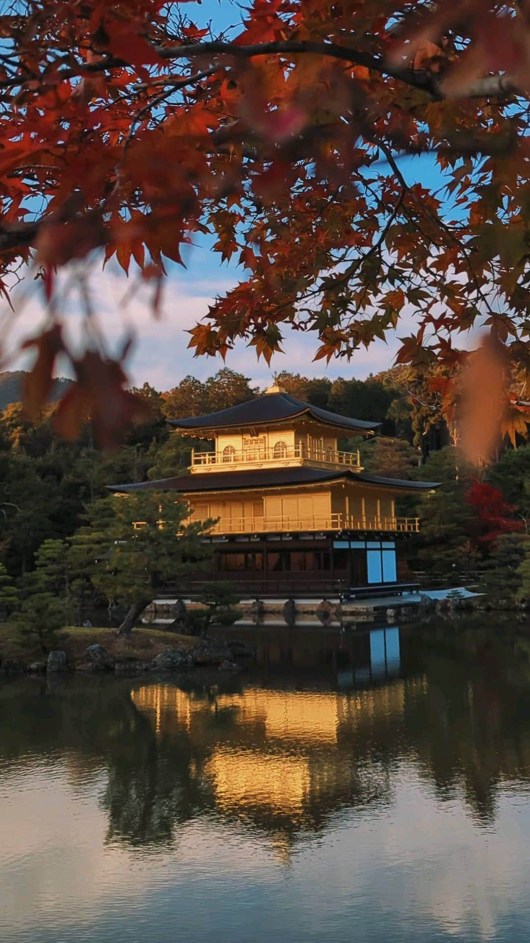 福田洋昭のインスタグラム：「🍁Kyoto #TeamPixel #Pixelで撮影」