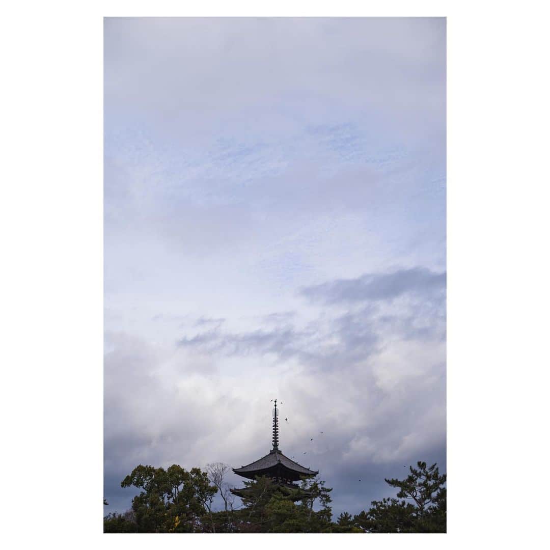 のインスタグラム：「奈良でノクチF1.2を検証。  #一億画素倶楽部」