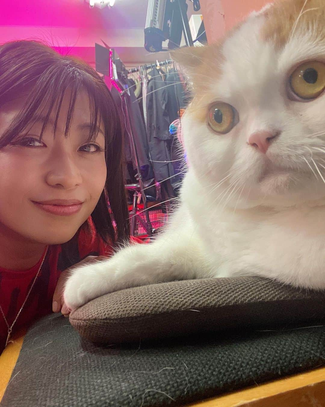 範田紗々さんのインスタグラム写真 - (範田紗々Instagram)「ヤリマンの福田光睦監督の猫さん😼 可愛い〜 #マリウス」12月2日 2時54分 - handa_sasa