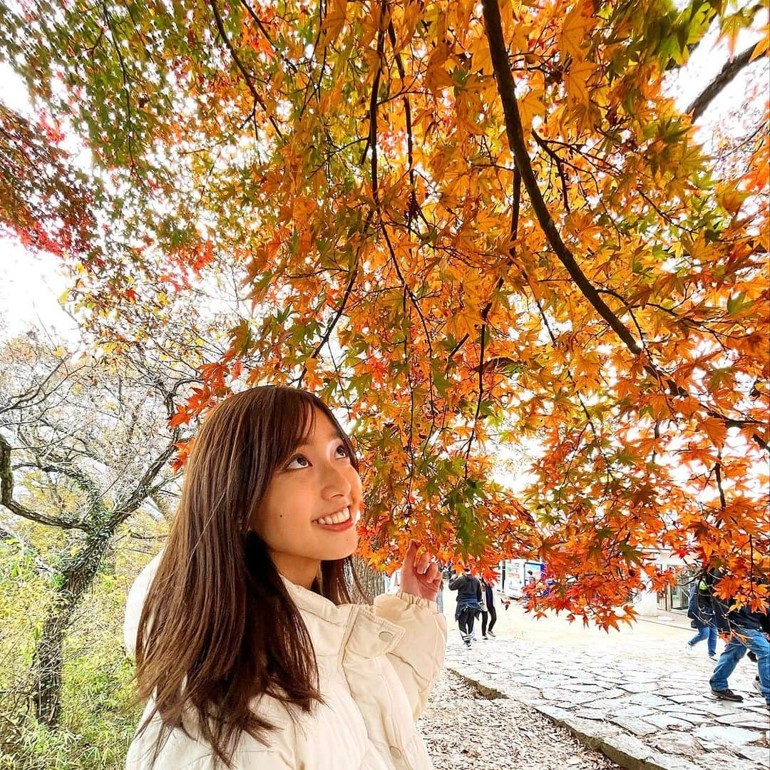 間瀬遥花のインスタグラム