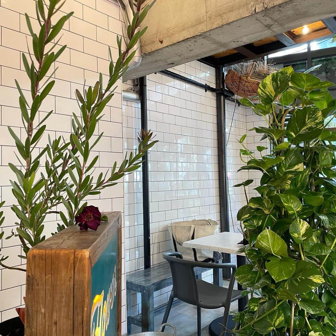 杉浦みずきのグルメインスタ