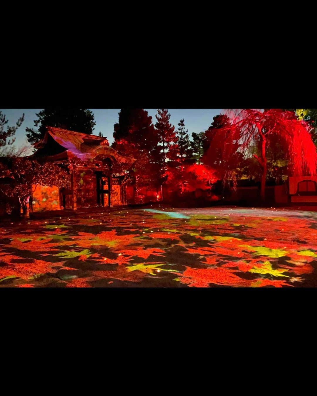 月野有菜さんのインスタグラム写真 - (月野有菜Instagram)「最近見た紅葉🍁  水面に映る逆さ紅葉が素敵😌 ライトアップもプロジェクションマッピングもすごく綺麗でした~!!」12月2日 20時45分 - yuna_tsukino920