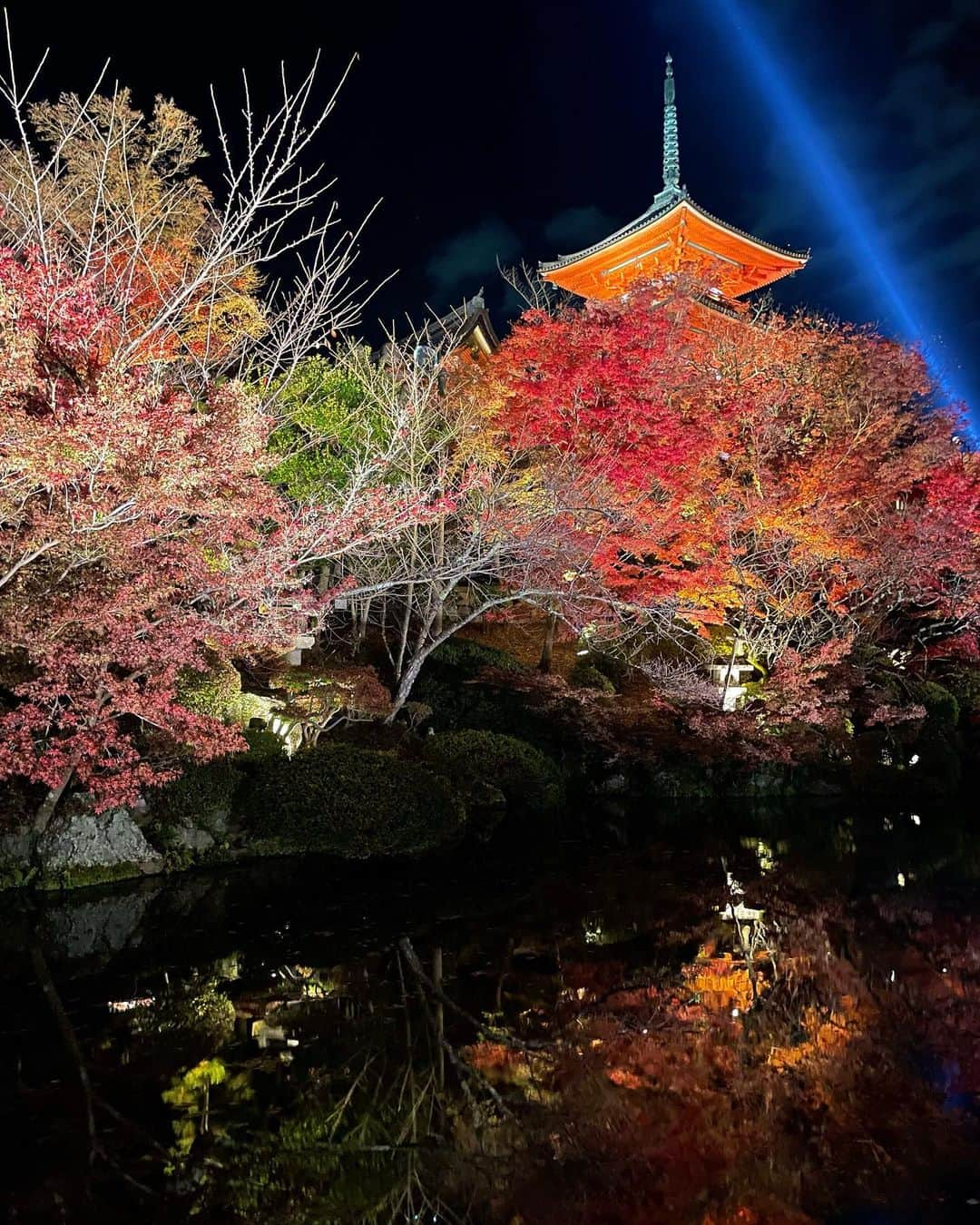 月野有菜さんのインスタグラム写真 - (月野有菜Instagram)「最近見た紅葉🍁  水面に映る逆さ紅葉が素敵😌 ライトアップもプロジェクションマッピングもすごく綺麗でした~!!」12月2日 20時45分 - yuna_tsukino920