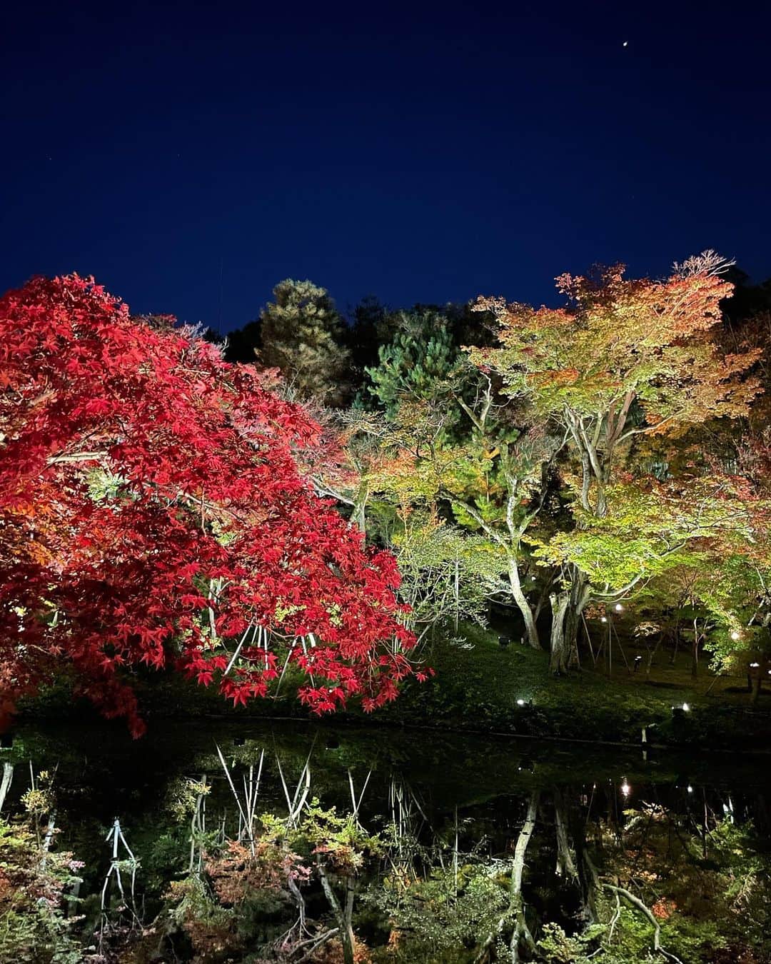 月野有菜のインスタグラム：「最近見た紅葉🍁  水面に映る逆さ紅葉が素敵😌 ライトアップもプロジェクションマッピングもすごく綺麗でした~!!」