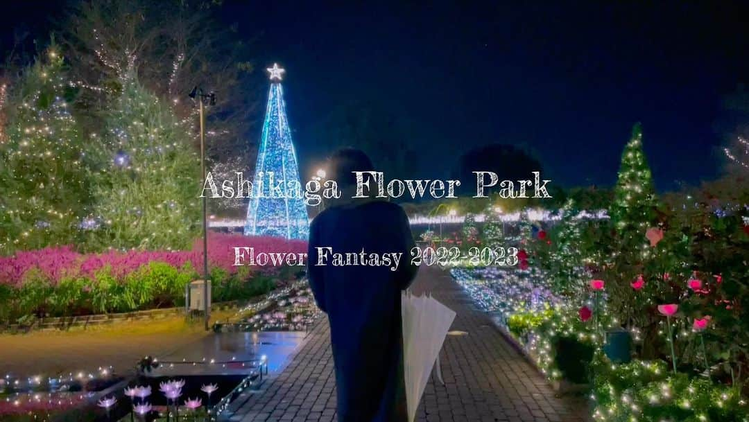 高橋和美のインスタグラム：「. Ashikaga Flower Park Flower Fantasy 2022-2023  @ashikaga_flower_park  ⁡  毎年冬の楽しみ𓂃☃︎ 𓈒𓐍」