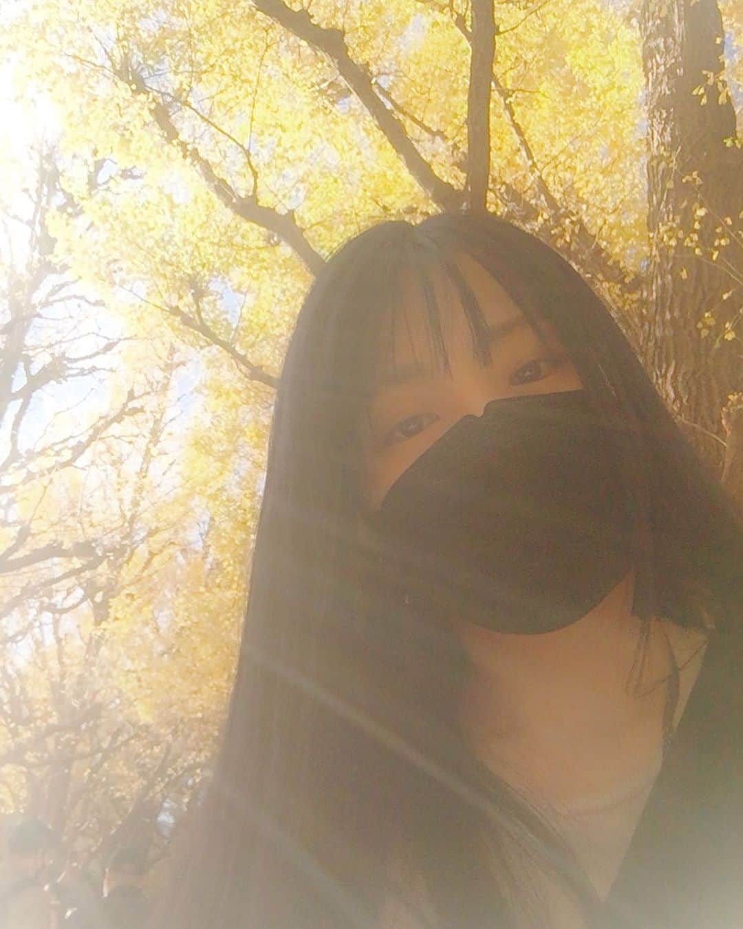 中岡龍子さんのインスタグラム写真 - (中岡龍子Instagram)「.🍂🍂🍂 先週紅葉を観に行った時の写真です！ 日差しが眩しすぎて自撮りの顔が😂  その翌日突然腰の激痛で歩くことも無理な状態で 投稿どころじゃなかったのであげれていませんでした。。  腰の激痛は年に1〜2回あるのですが、 今回のは今までで一番痛かったです🥀  なんとか歩けるようになってから病院へ行き、 今もまだ重心は傾いてるしまっすぐ立てないですが、 トボトボと歩けるようにはなりました！！  コルセットで締めてたり重心傾いてるせいで 足のむくみが凄いのが本当に嫌なのですが、 まだ少し痛いので無理しないように過ごします。 でも本当だいぶ良くなってきていて 買い物とかも行けているので来週中には治りそうです！  Twitterではこの話をしていたのでご心配おかけしましたが、 回復してきているのでご心配なく！！ 腰を除いては元気です🐉  12月に入っていきなり寒くなったので 皆さんも風邪はもちろん、冷えると身体も硬くなって 私のように関節や筋肉を痛めるので気をつけてください😭」12月2日 22時05分 - ryoko1792