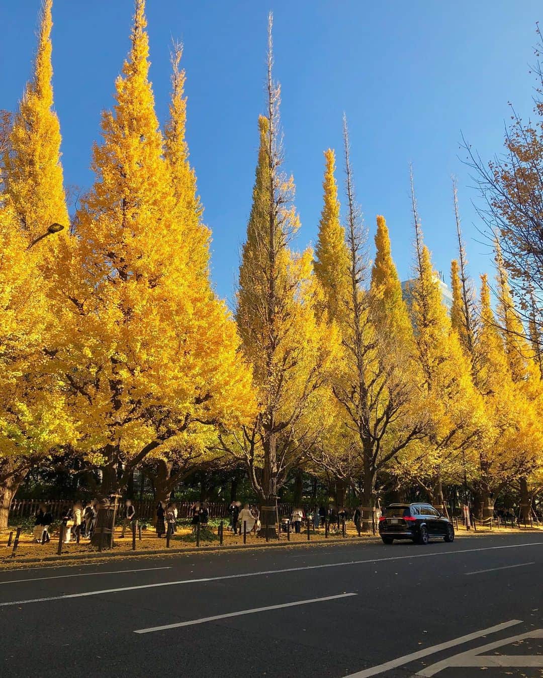 中岡龍子さんのインスタグラム写真 - (中岡龍子Instagram)「.🍂🍂🍂 先週紅葉を観に行った時の写真です！ 日差しが眩しすぎて自撮りの顔が😂  その翌日突然腰の激痛で歩くことも無理な状態で 投稿どころじゃなかったのであげれていませんでした。。  腰の激痛は年に1〜2回あるのですが、 今回のは今までで一番痛かったです🥀  なんとか歩けるようになってから病院へ行き、 今もまだ重心は傾いてるしまっすぐ立てないですが、 トボトボと歩けるようにはなりました！！  コルセットで締めてたり重心傾いてるせいで 足のむくみが凄いのが本当に嫌なのですが、 まだ少し痛いので無理しないように過ごします。 でも本当だいぶ良くなってきていて 買い物とかも行けているので来週中には治りそうです！  Twitterではこの話をしていたのでご心配おかけしましたが、 回復してきているのでご心配なく！！ 腰を除いては元気です🐉  12月に入っていきなり寒くなったので 皆さんも風邪はもちろん、冷えると身体も硬くなって 私のように関節や筋肉を痛めるので気をつけてください😭」12月2日 22時05分 - ryoko1792