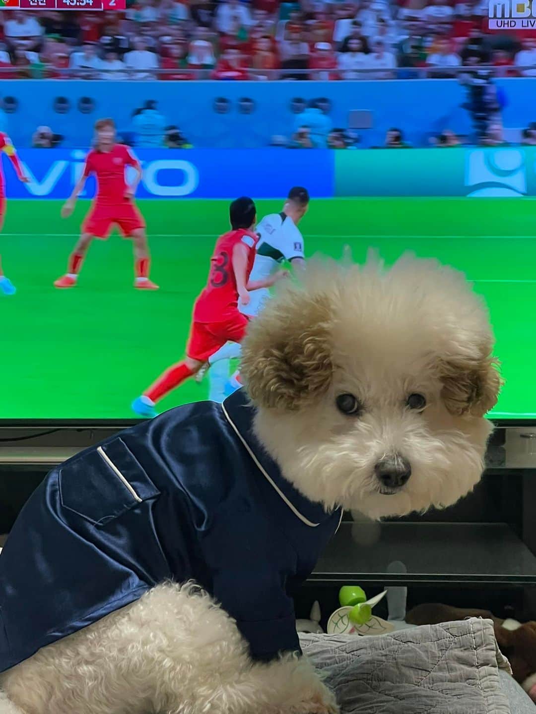 リュ・ジヘのインスタグラム：「16강 진출!!!!!!!❤️❤️❤️ 언니네 강아지랑 응원🐶」