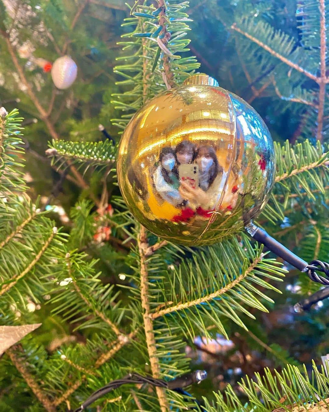 のインスタグラム：「お風呂上がり🎄✨」