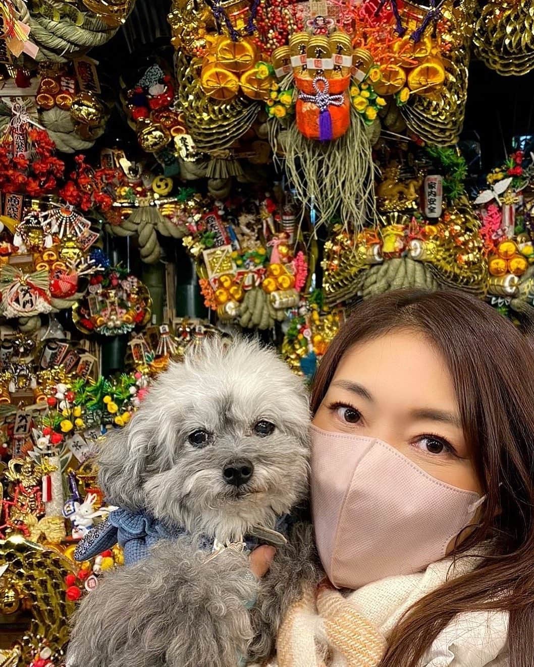 小早川怜子さんのインスタグラム写真 - (小早川怜子Instagram)「11月は酉の市の月😃  毎年行って大きくしてたけど、大きすぎると飾れないからこぶりなの買いました🥰  抱っこちゃんでチャチャチャン♫してもらったよ♫  あれ、なんて言うんだろ🤔」12月3日 10時38分 - reiko.kobayakawa
