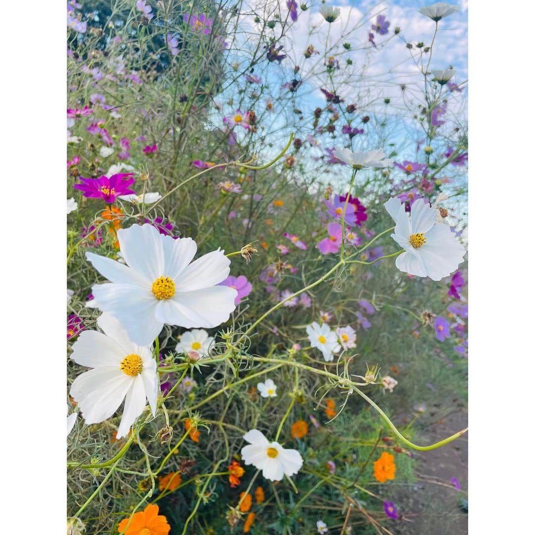 のインスタグラム：「寒すぎて外に行きたくない😇」